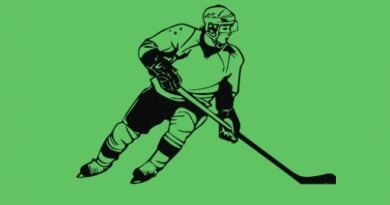 Хоккей Хоккей